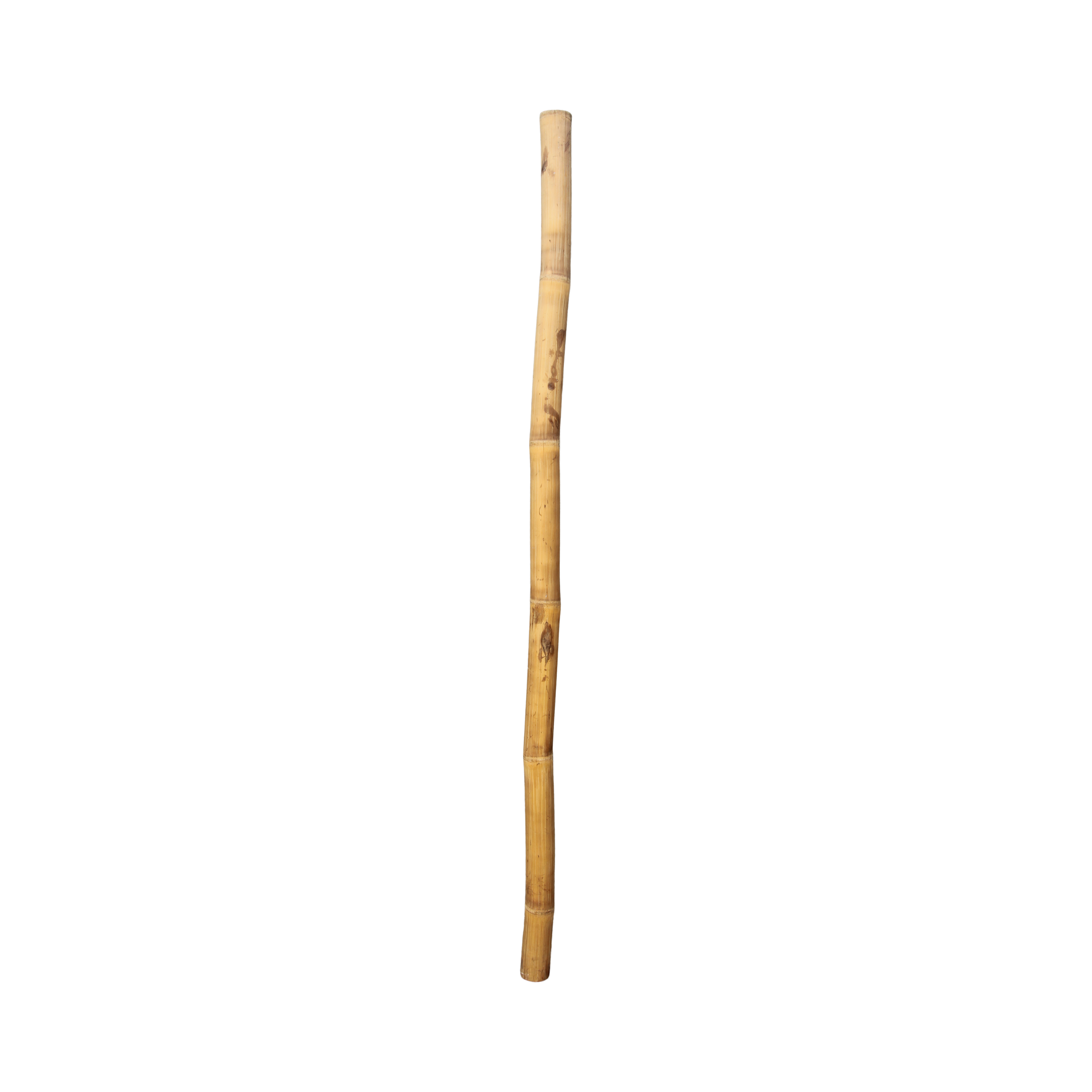 Bambus Stab dick mieten | eventmaterial.ch